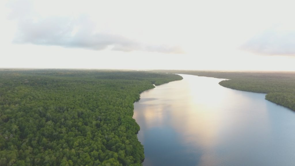 ruu ksdahe ancam rusak hutan alam di pulau pulau kecil di kepulauan aru