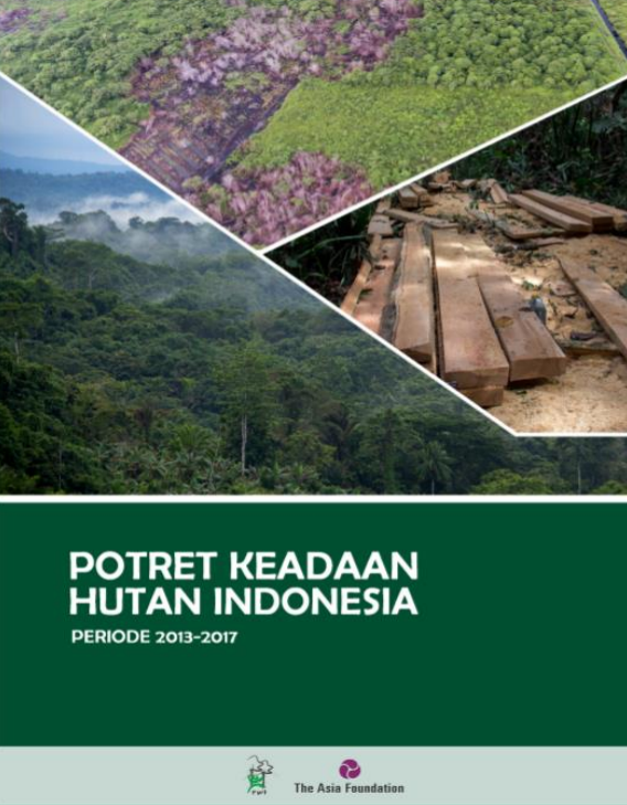 potret keadaan hutan indonesia periode 2013 - 2017