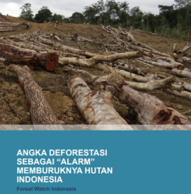 Angka Deforestasi Sebagai Alarm Memburuknya Hutan Indonesia