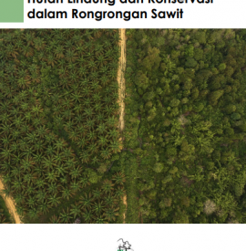 Hutan Lindung Dan Konservasi Dalam Rongrongan Sawit
