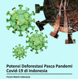 Potensi Deforestasi Pasca Pandemi Covid 19 Di Indonesia