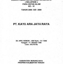 RKLUPHHK PT. KAYU ARA JAYA RAYA 2005 2009