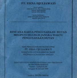 RKPH PT. ERNA DJULIAWATI 2000