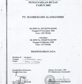 RKTPH PT. MAMBERAMO ALASMANDIRI 2002