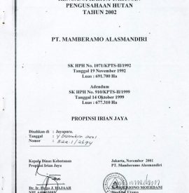 RKTPH PT. MAMBERAMO ALASMANDIRI 2002