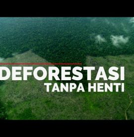 Deforestasi Tanpa Henti
