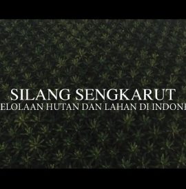 Silang Sengkarut Pengelolaan Lahan Di Indonesia
