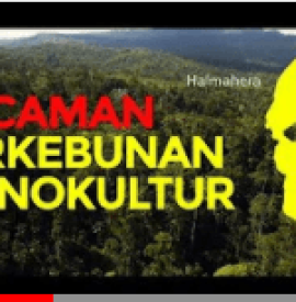 Ancaman Perkebunan Monokultur