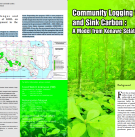 comlog english carbon