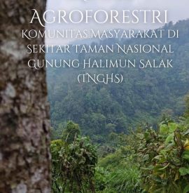 Model Agroforestri komunitas masyarakat di sekitar taman nasional gunung halimun salak