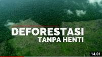 Deforestasi Tanpa Henti Video
