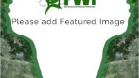 Featured Image Default