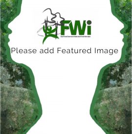 Featured Image Default
