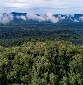 Aerial views rain forest in Long Bagun district, Mahakam Hulu Regency, East Kalimantan.