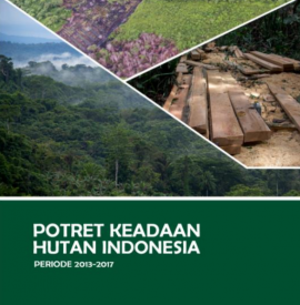 potret keadaan hutan indonesia periode 2013 - 2017