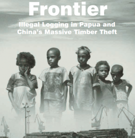 the last frontier papua