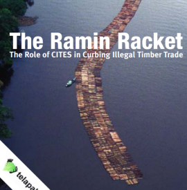 the ramin racket