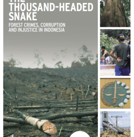 forest crime